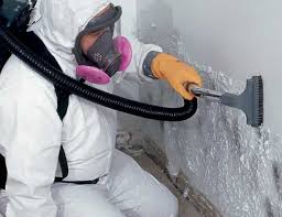 Mold Remediation for Rental Properties in Big Pine, CA